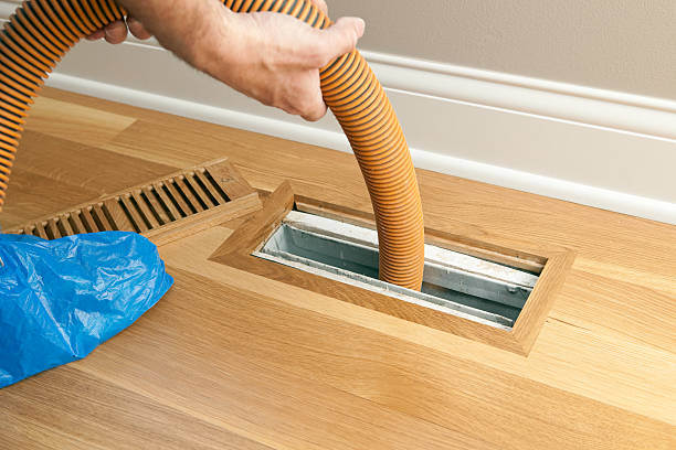 Best Air Vent Cleaning Services  in Chisholm, MN